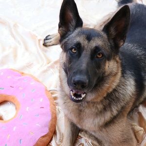 Meet your Posher, Vanessa